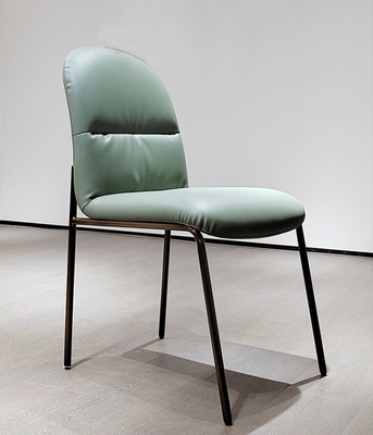 Dining chair / Living room chair/Dinning room furniture DC028